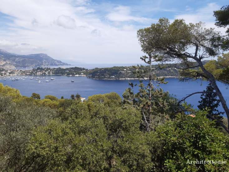 116567012_1036179500132512_6232173660439026902_n